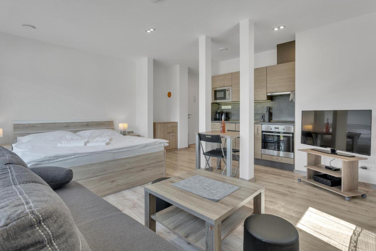 Family Apartments Klinovec Loučná pod Klínovcem Exteriör bild