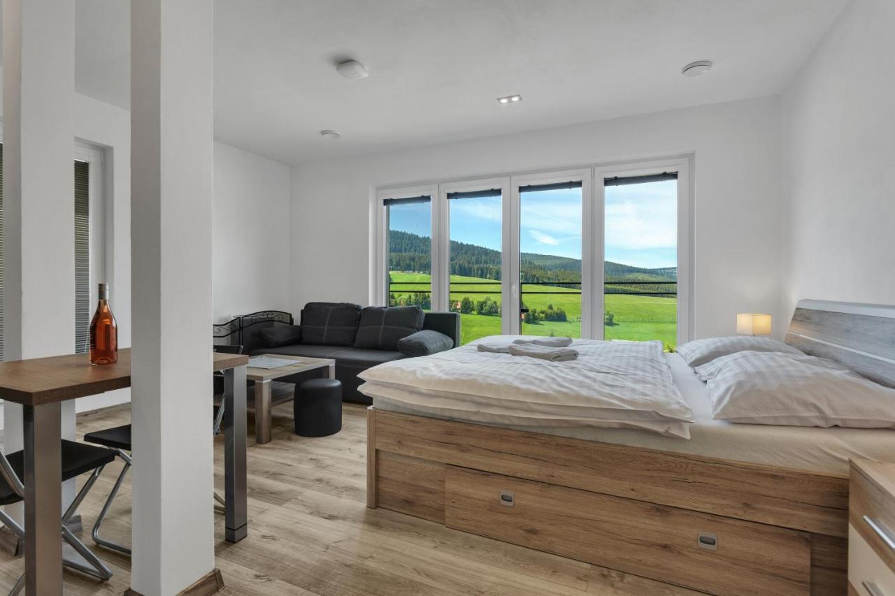 Family Apartments Klinovec Loučná pod Klínovcem Exteriör bild