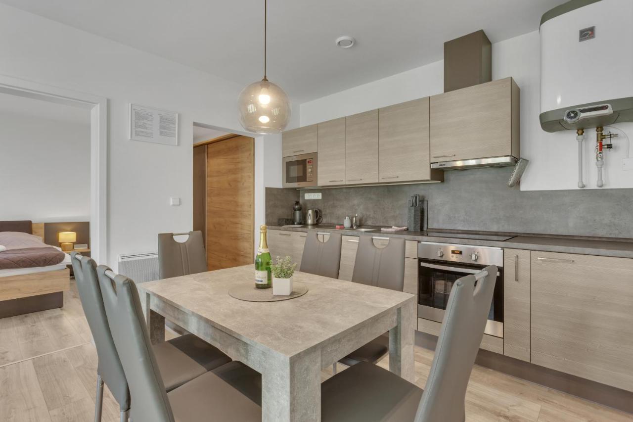 Family Apartments Klinovec Loučná pod Klínovcem Exteriör bild